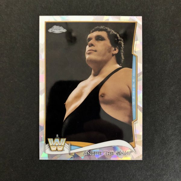 Andre the Giant 2014 WWE Topps Chrome Atomic Refractor