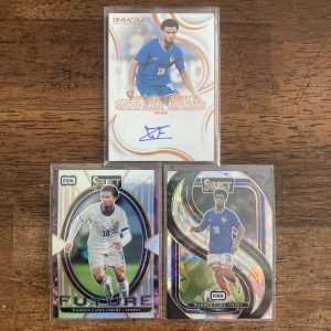 warren zaire-emery lot of soccer cards, auto autograph - instant collection bundle pack